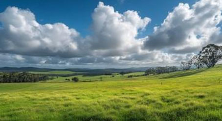How You Can Own Land Without Waiting Years Why Buy Land Now?